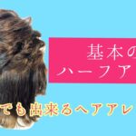 【基本のハーフアップ】ボブでも出来るヘアアレンジ　卒業式、成人式、結婚式などいろんなシーンで使えるよ♪