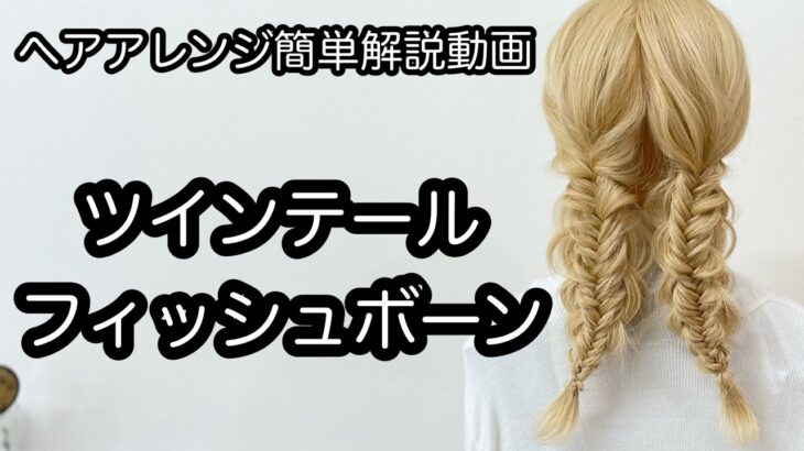 【ヘアアレンジ簡単解説動画】ツインテール・フィッシュボーンで作る、ヘアアレンジを手元動画でやり方を解説[Easy hair arrangement commentary video】