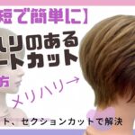 誰でも【超時短で簡単にショートカットが切れる】メリハリのあるスタイルにチェンジ、40代、50代でも老けないショートスタイル/髪神スタイリストが直伝!!