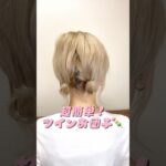 超簡単ツインお団子ヘアやってみた🍡#ボブ #ボブヘアアレンジ #お団子 #お団子ヘア #ツインお団子#ヘアスタイル #ヘアアレンジ