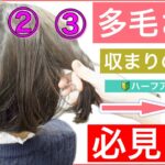 【🔰初心者向け🔰多毛さん必見❗️収まりの良いボブの簡単ハーフアップアレンジ】毛量が多くて結びづらい時におすすめの結び方です。ショートボブでもミディアムでもOKです。